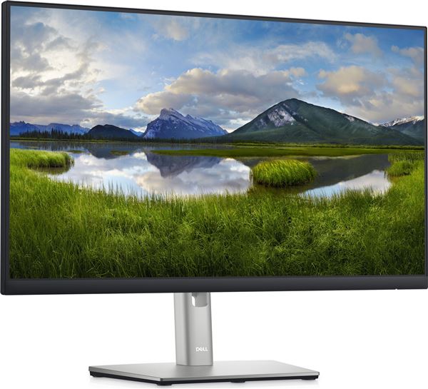DELL P2422HE LED MONITOR 24