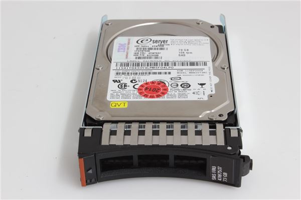 IBM HDD 73GB 10K HS 2.5'' SAS FOR 8028