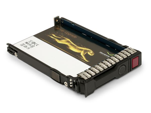 GRAFENTHAL SSD 3.84TB MU SAS 2,5'' 12GB/S DWPD 1.0 5 YEARS FOR HP PROLIANT G9+G10