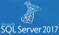 MICROSOFT SQL SERVER 2017 STANDARD 1 SERVER OPEN BUSINESS