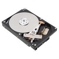 DELL HDD 4TB 7.2K SAS 6Gb/s 3.5'' NEARLINE