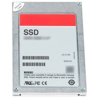 SSD 2.5IN SAS 12G MU-MLC 960GB 6.35 cm (2.5 ) PX04SV CUS KIT