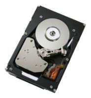 IBM HDD 300GB 15K SAS LFF 3.5'' 6GB E-DDM