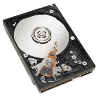 IBM HDD 1TB 7.2K SAS NL LFF 6GB E-DDM 3.5''