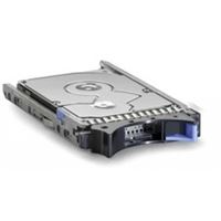 IBM HDD 1TB 8,9cm 7.2K NL G2HS SATA EXP