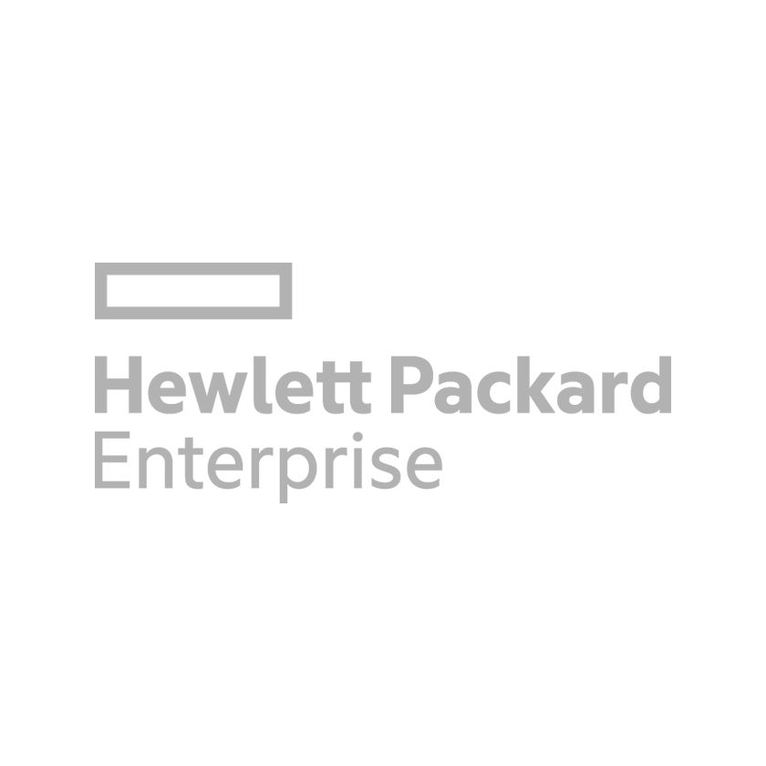 HEWLETT PACKARD ENTERPRISE